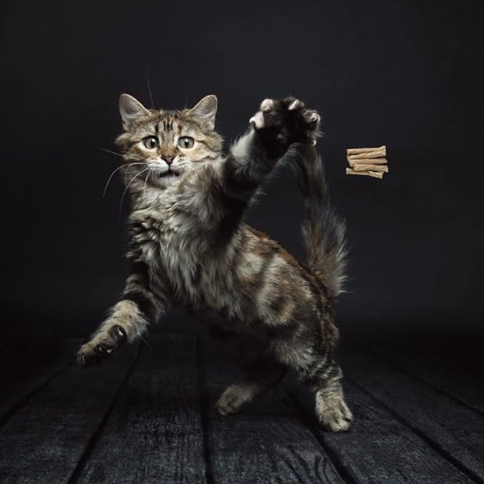 Cat Dancer Products 101 Interactive Cat Toy, Brown