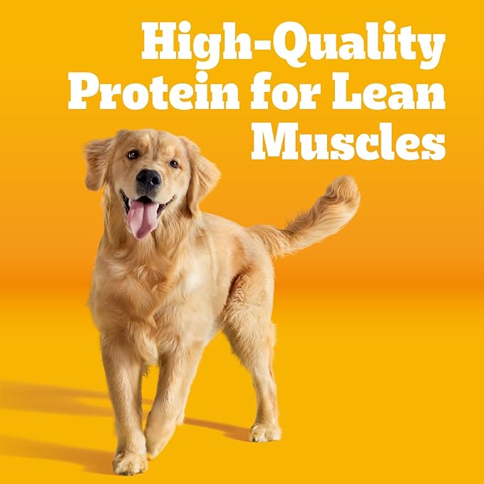 Pedigree Adult Dog Food Steak & Veggies 18lb