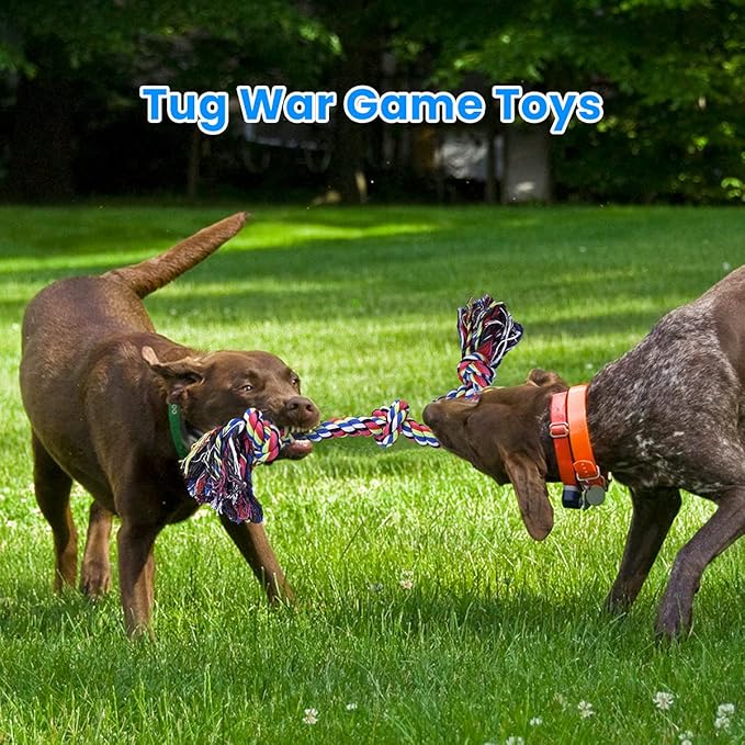 Feeko Heavy Duty Cotton Dog Rope Toys – 2 Pack