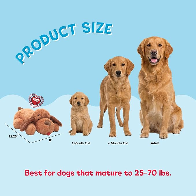 Snuggle Puppy Heartbeat Toy for Dogs