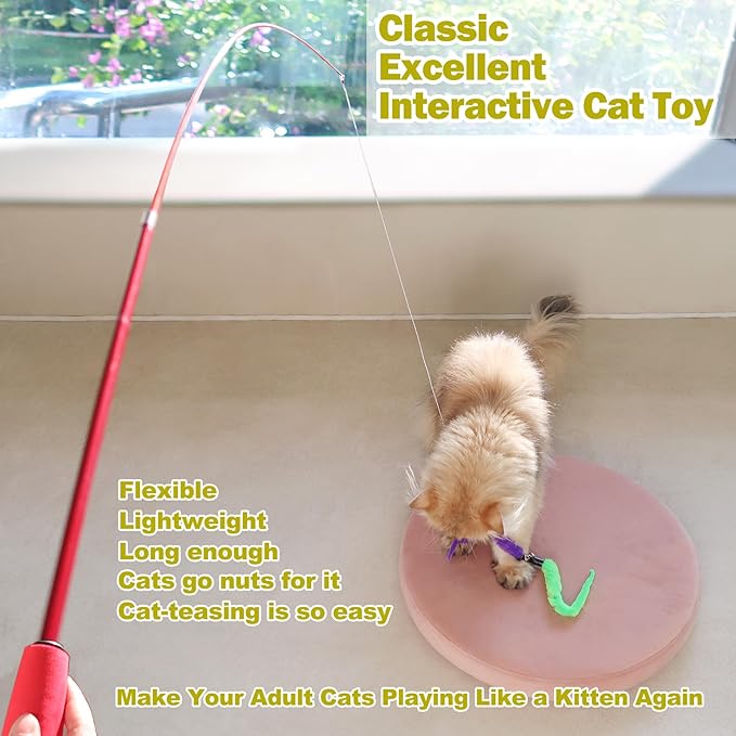 Purina Retractable Wand Cat Toy with Feathers