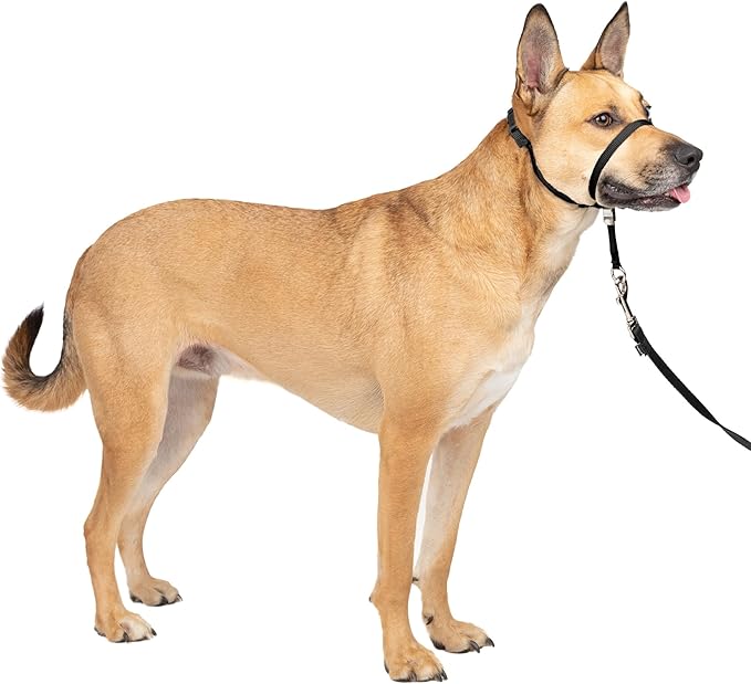 PetSafe Gentle Leader No-Pull Dog Head Collar - Medium
