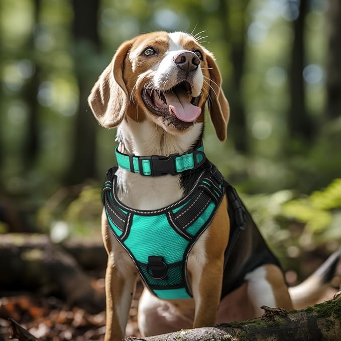 Reflective Neoprene Dog Collar – Adjustable & Comfy