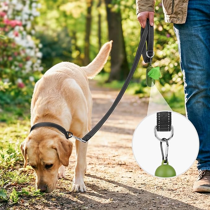 Reflective Nylon Dog Leash with Padded Handle
