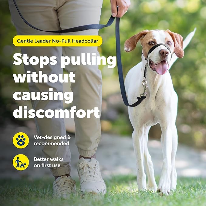 PetSafe Gentle Leader No-Pull Dog Head Collar - Medium