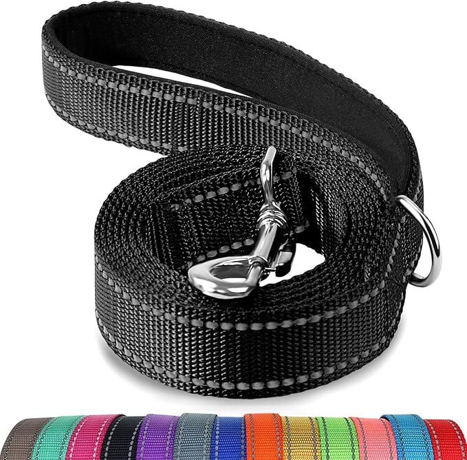 Reflective Nylon Dog Leash with Padded Handle
